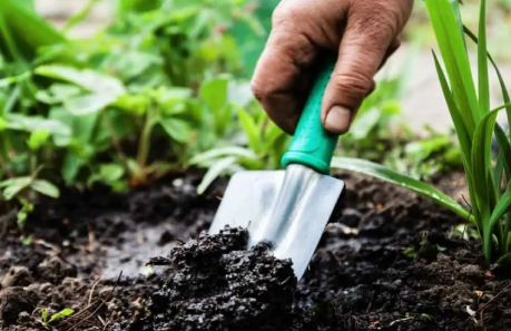 10 maneiras de preparar seu jardim para o inverno - Solução Ideal 10 maneiras de preparar seu jardim para o inverno