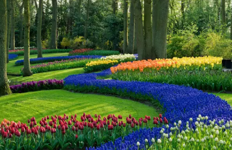 Jardinagem: Tudo o que precisa saber para começar - Solução Ideal Jardinagem: Tudo o que precisa saber para começar