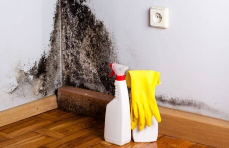 Adeus humidade Guia completo para proteger telhados e paredes antes do Inverno - Solução Ideal